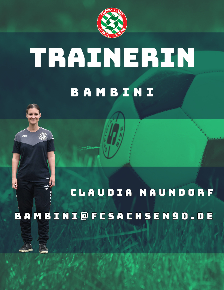 Mein Verein - Polyester - Trainingsshirts - Warmlauftrikot Mit